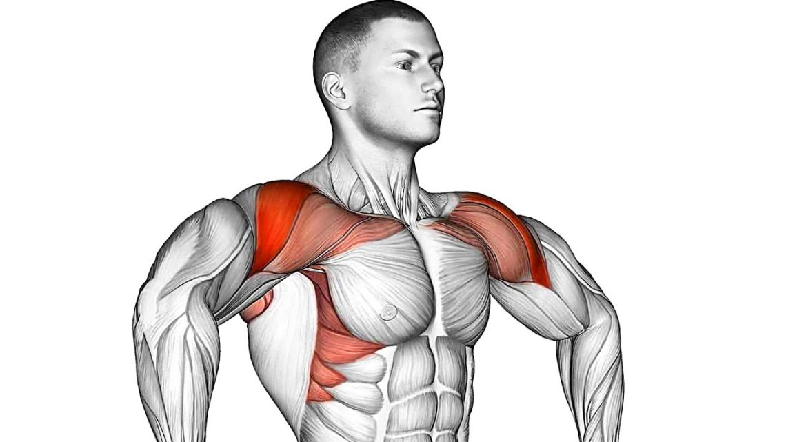 How to Get Wider Shoulders (Posture Correction)