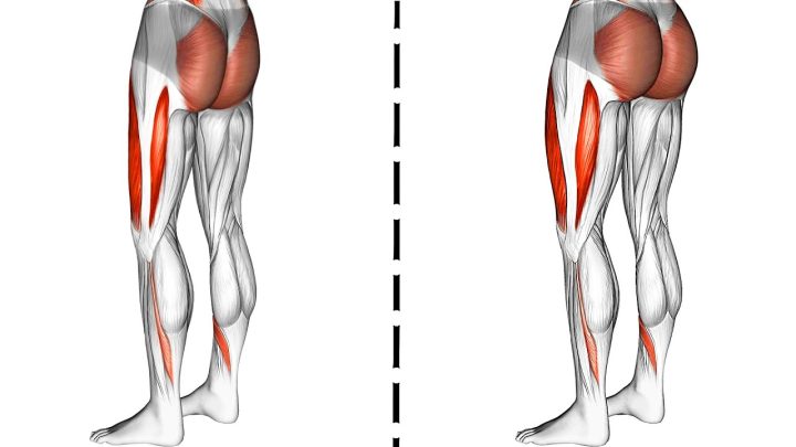 Exercises To Grow Butt and Thighs