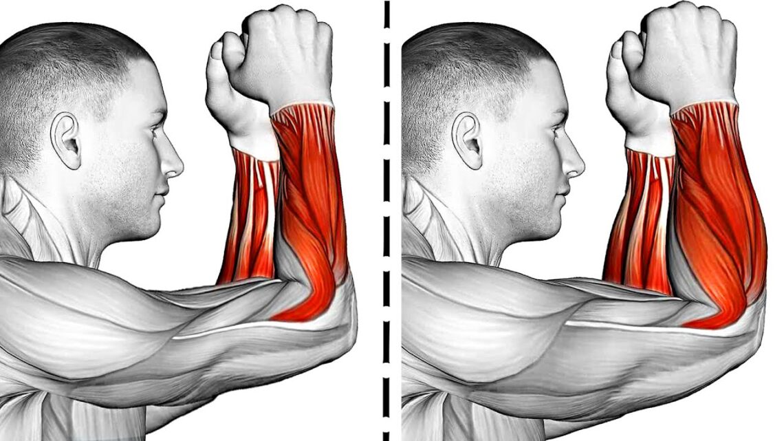 Forearm Exercises for Stronger Arms