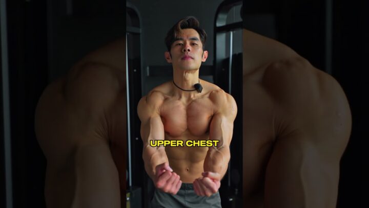 Cables Flys For All Chest