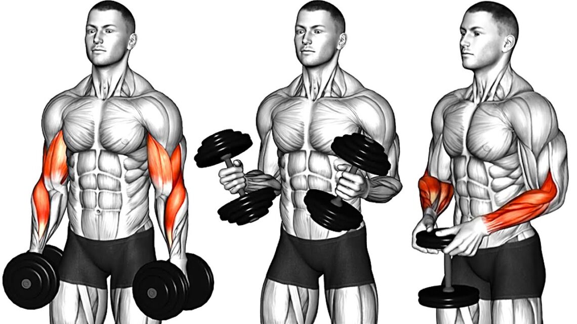 Best Exercises to Add Muscle to Your Forearms