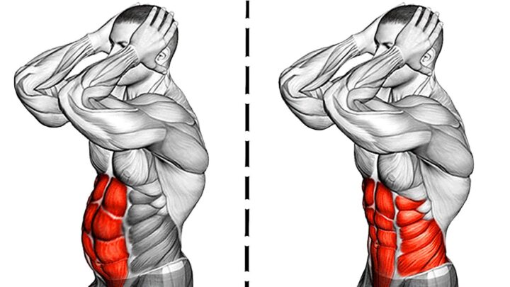 8 Plank Exercise to Strengthen Your Abdominal Muscles