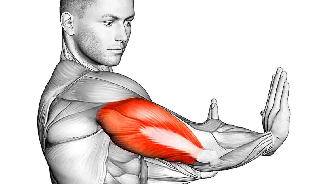 The Best Tricep Exercises To Do At Home