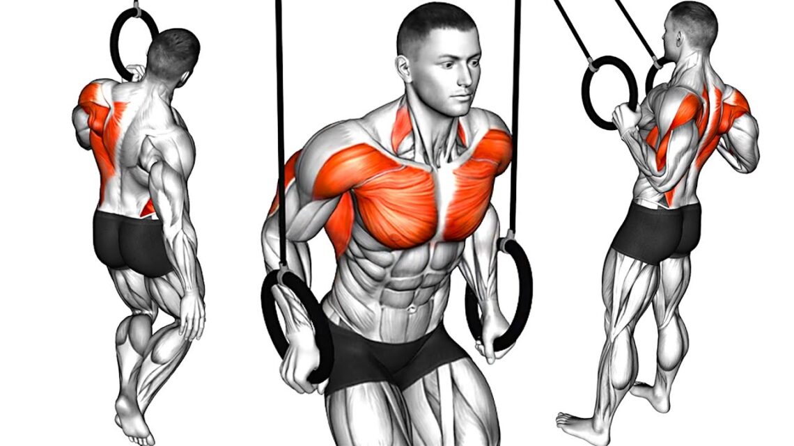 Top 5 Calisthenic Exercises