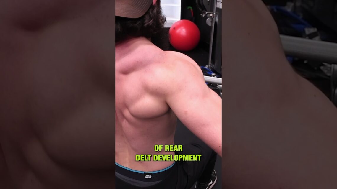 The IDEAL Way to Train Rear Delts