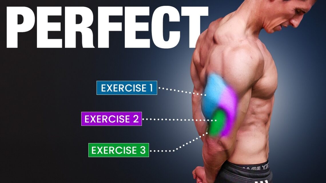 The PERFECT Science Based Tricep Workout (2025 EDITION)