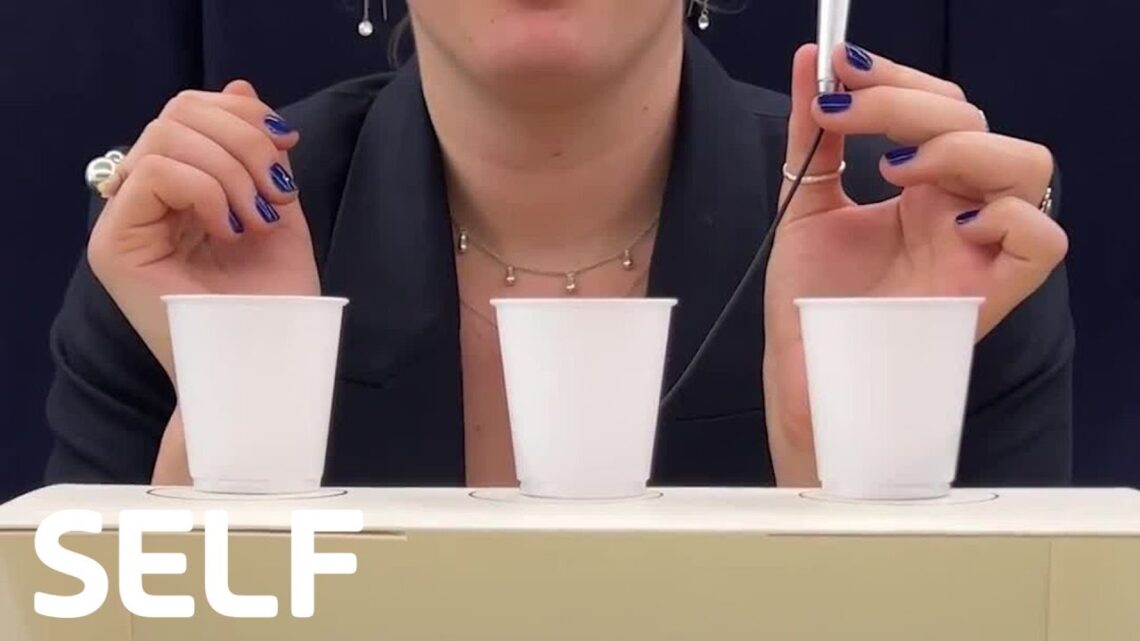 Can They Guess the Protein Bar Flavor? Can They Guess the Protein Bar Flavor?